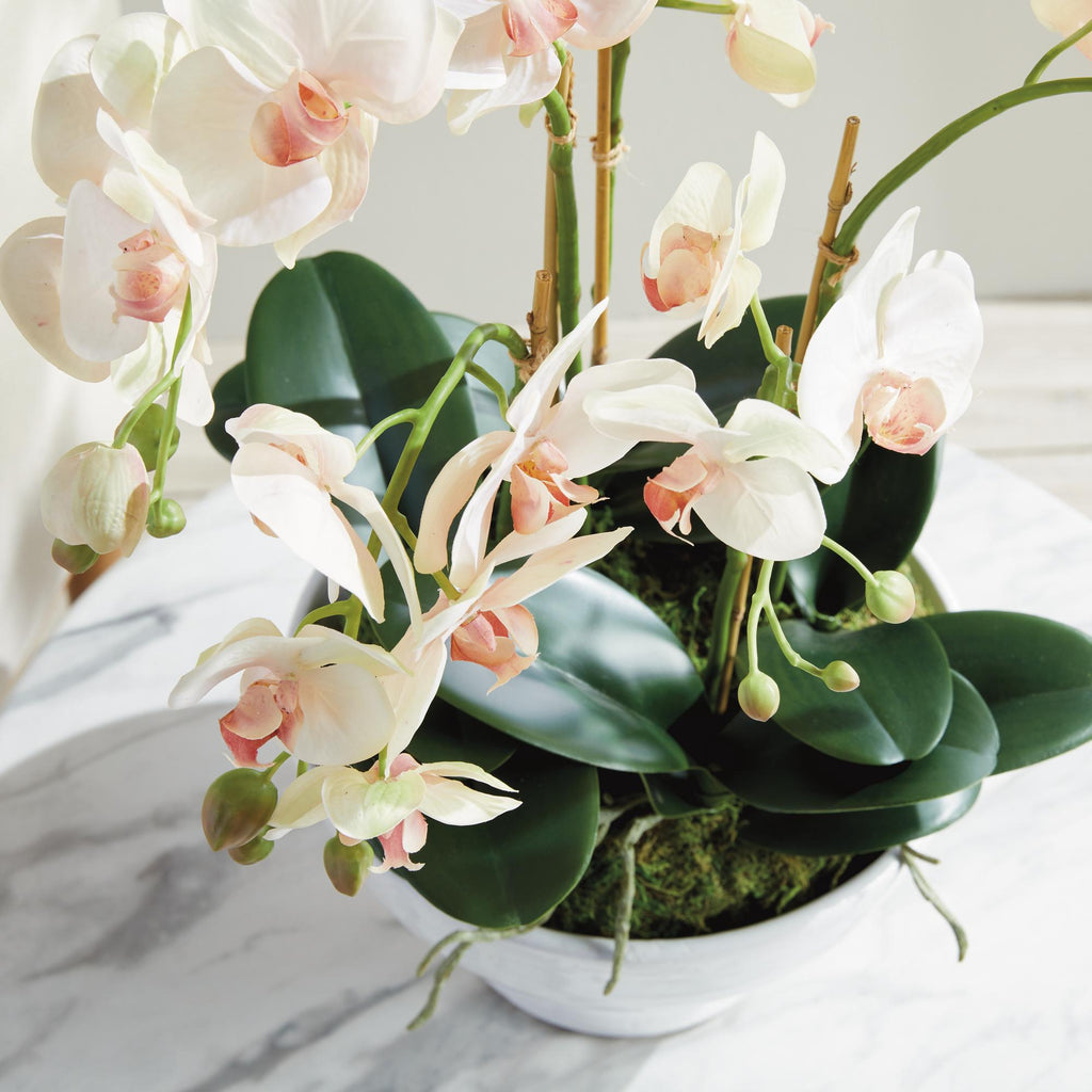 Napa Blush & pale pink shaded graidents Phalaenopsis Orchid Bowl Drop-In 18.5"