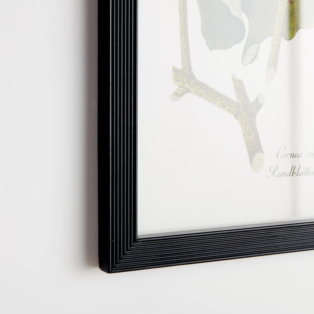 Napa Nature themed greenery, berries and botanicals. Finished with black fir wood frames. Floral And Berry Study