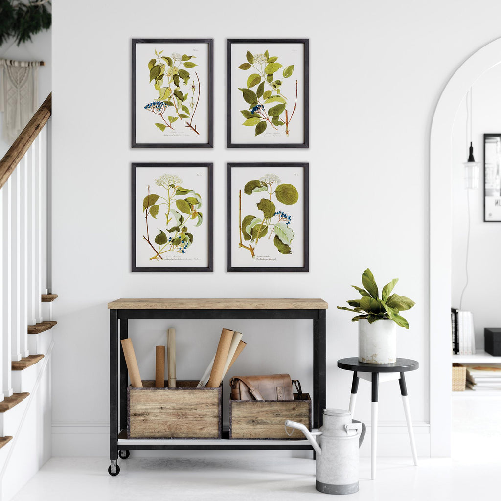 Napa Nature themed greenery, berries and botanicals. Finished with black fir wood frames. Floral And Berry Study