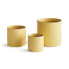 Napa Yellow Studio Cachepots, Set Of 3