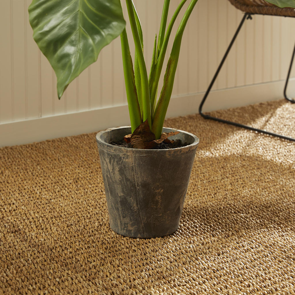 Napa Green Alocasia Potted 42"