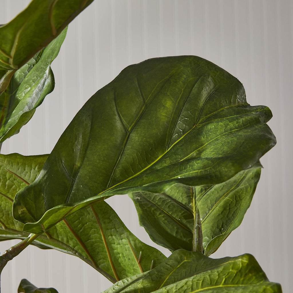 Napa Green Fiddle Leaf Fig Potted 43"