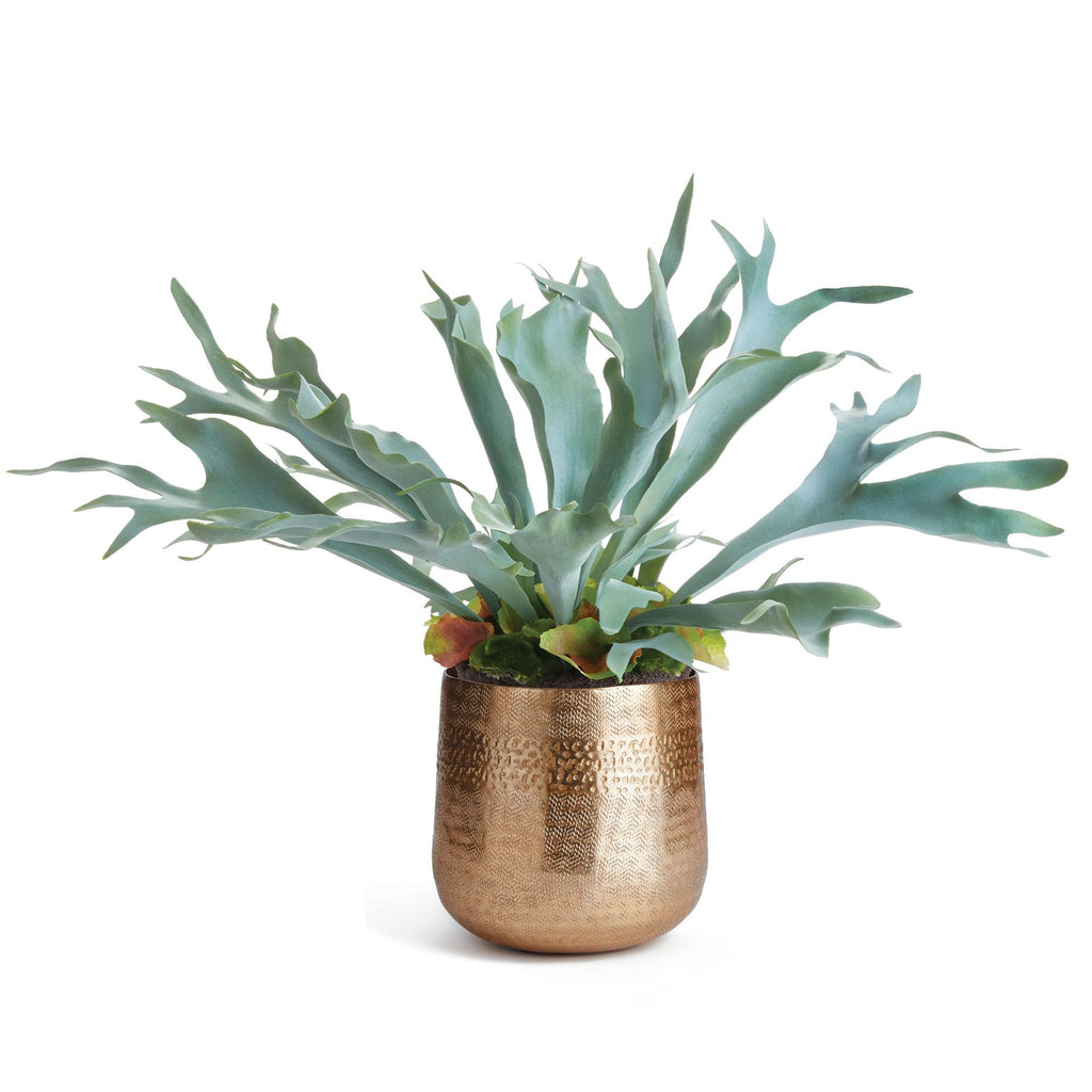 Napa Gold Emberlynn Cachepot Small