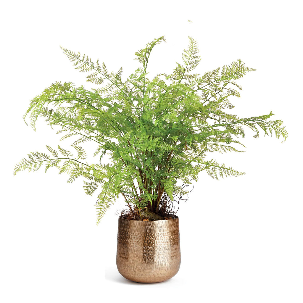 Napa Gold Emberlynn Cachepot Small