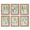 Napa Green Assorted Frond Study Petite, Set Of 6