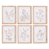 Napa Natural/Blush Botanicals In Blush Prints, Set Of 6