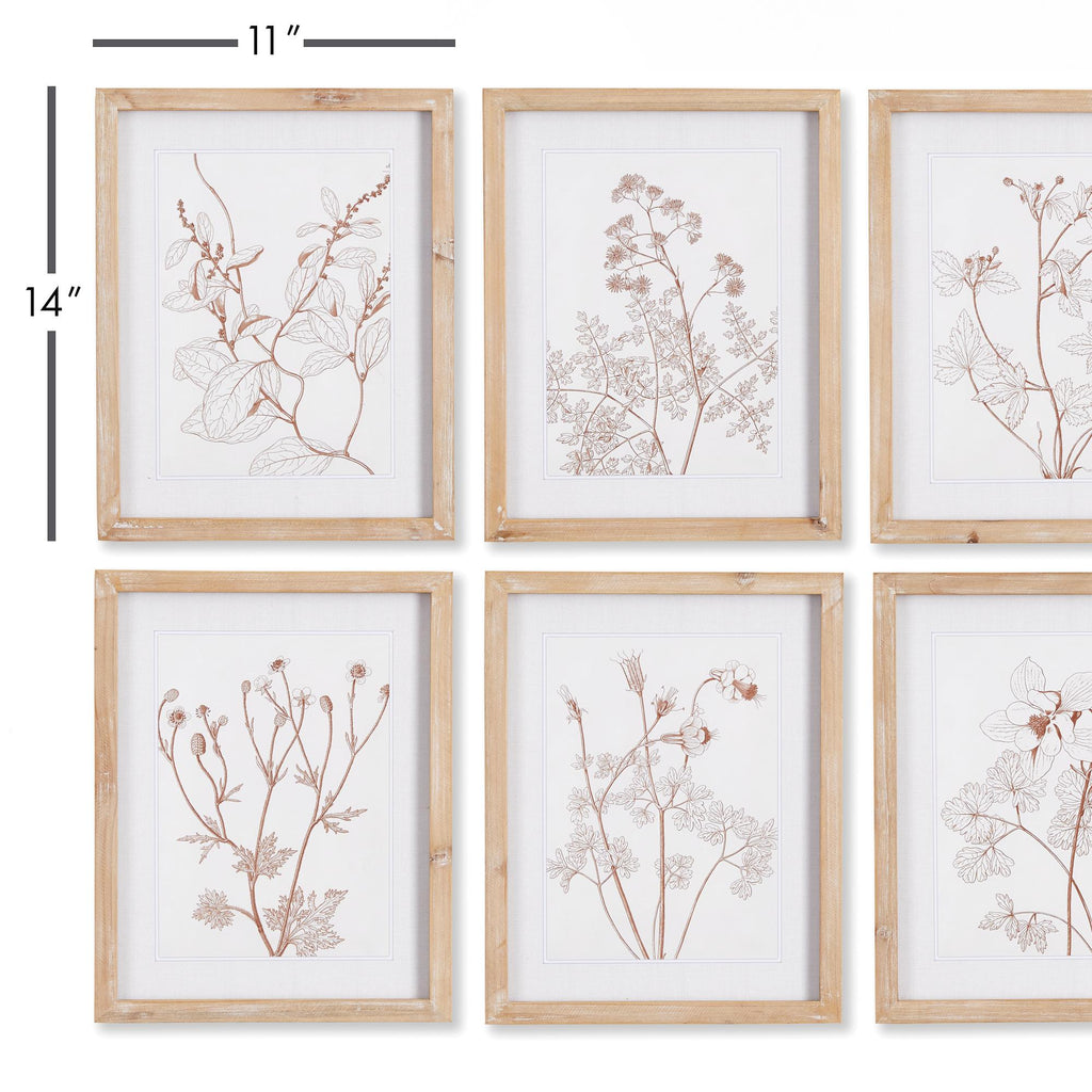 Napa Natural/Blush Botanicals In Blush Prints, Set Of 6