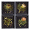 Napa Black/Yellow Protea Petite Prints, Set Of 4