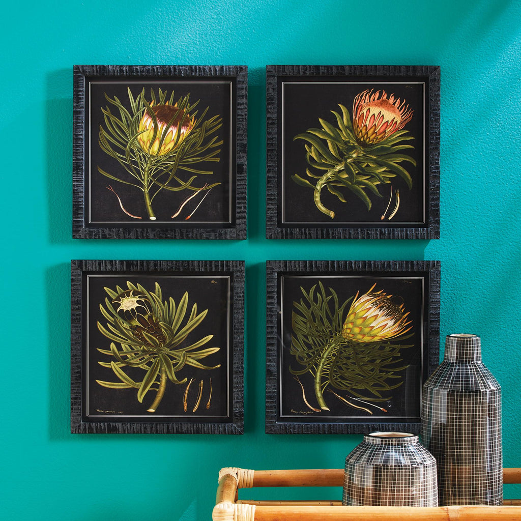 Napa Black/Yellow Protea Petite Prints, Set Of 4