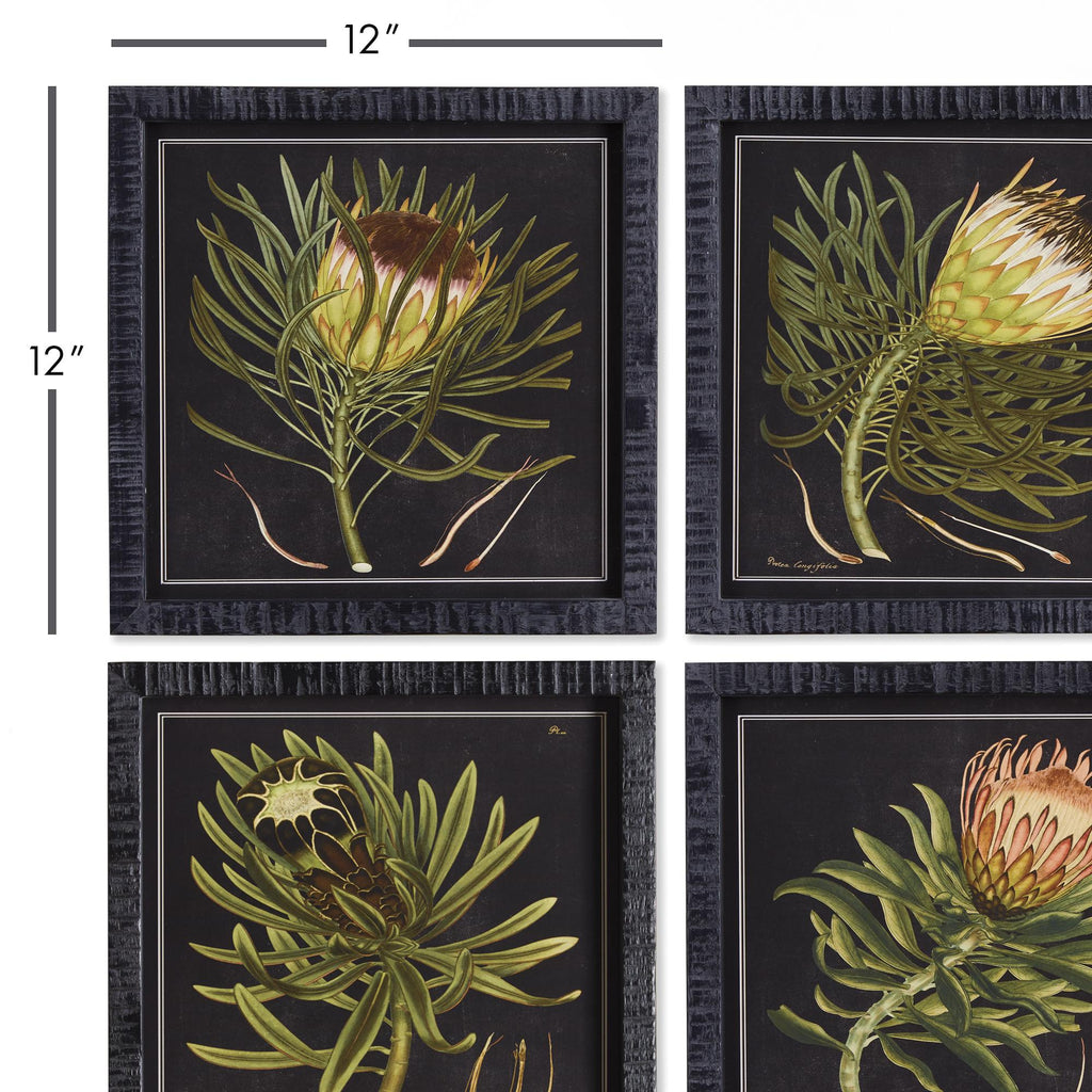 Napa Black/Yellow Protea Petite Prints, Set Of 4