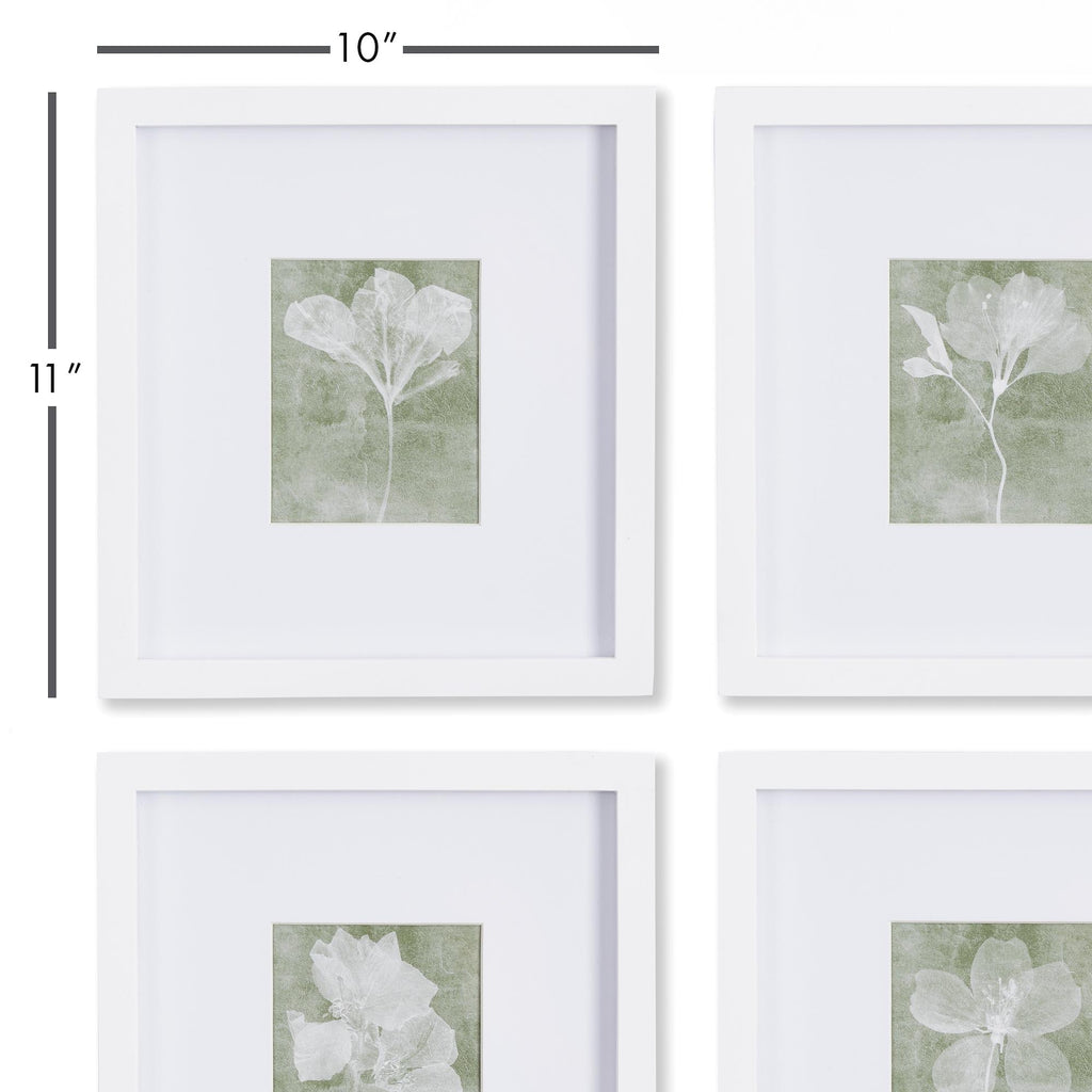 Napa White/Green Translucent Floral Petite Prints, Set Of 4