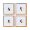 Napa Natural/Black Seashell Petite Prints, Set Of 4