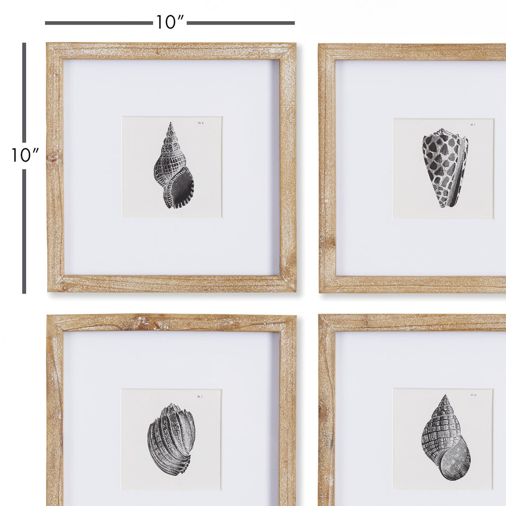 Napa Natural/Black Seashell Petite Prints, Set Of 4