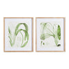 Napa Natural/Green Aquatic Leaf Prints, Set Of 2