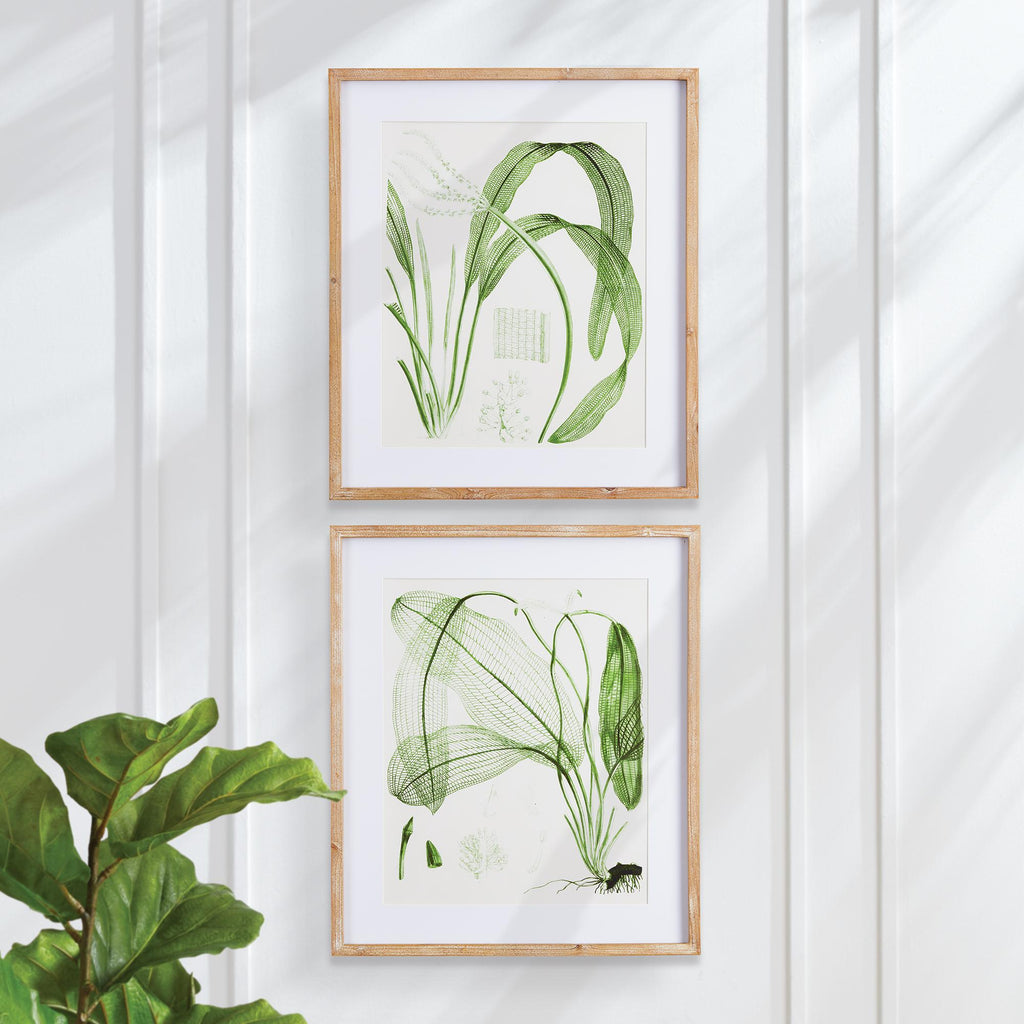 Napa Natural/Green Aquatic Leaf Prints, Set Of 2