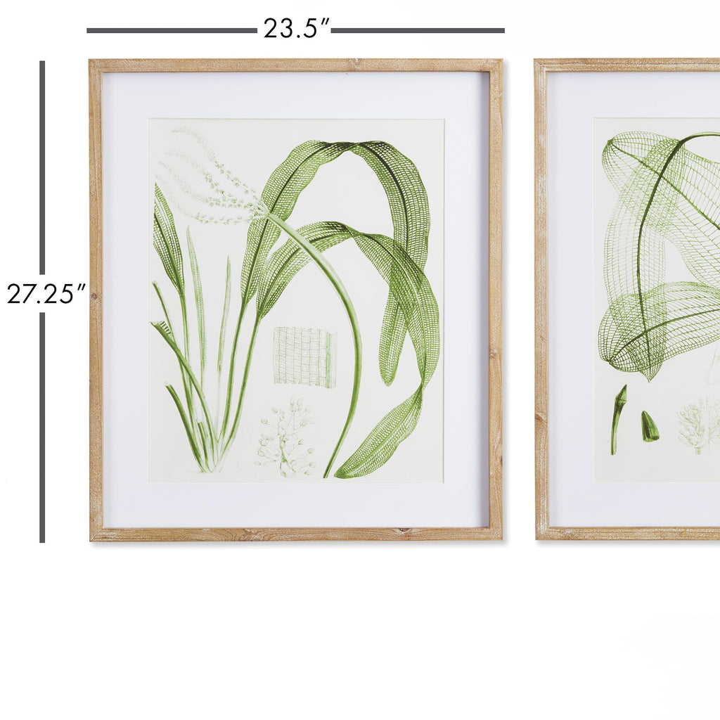 Napa Natural/Green Aquatic Leaf Prints, Set Of 2