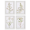 Napa White/Yellow Daisy Prints, Set Of 4