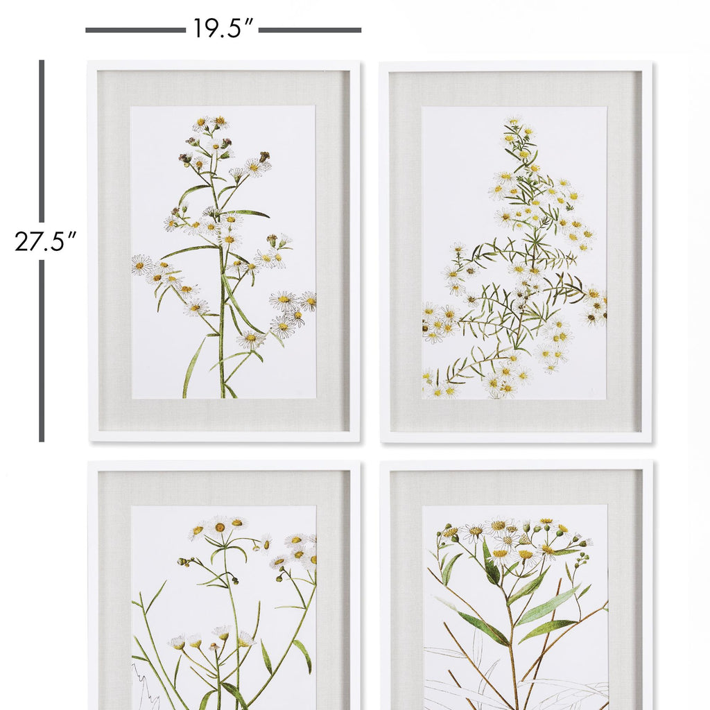 Napa White/Yellow Daisy Prints, Set Of 4