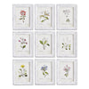 Napa Multi Garden Meadow Study, Set Of 9