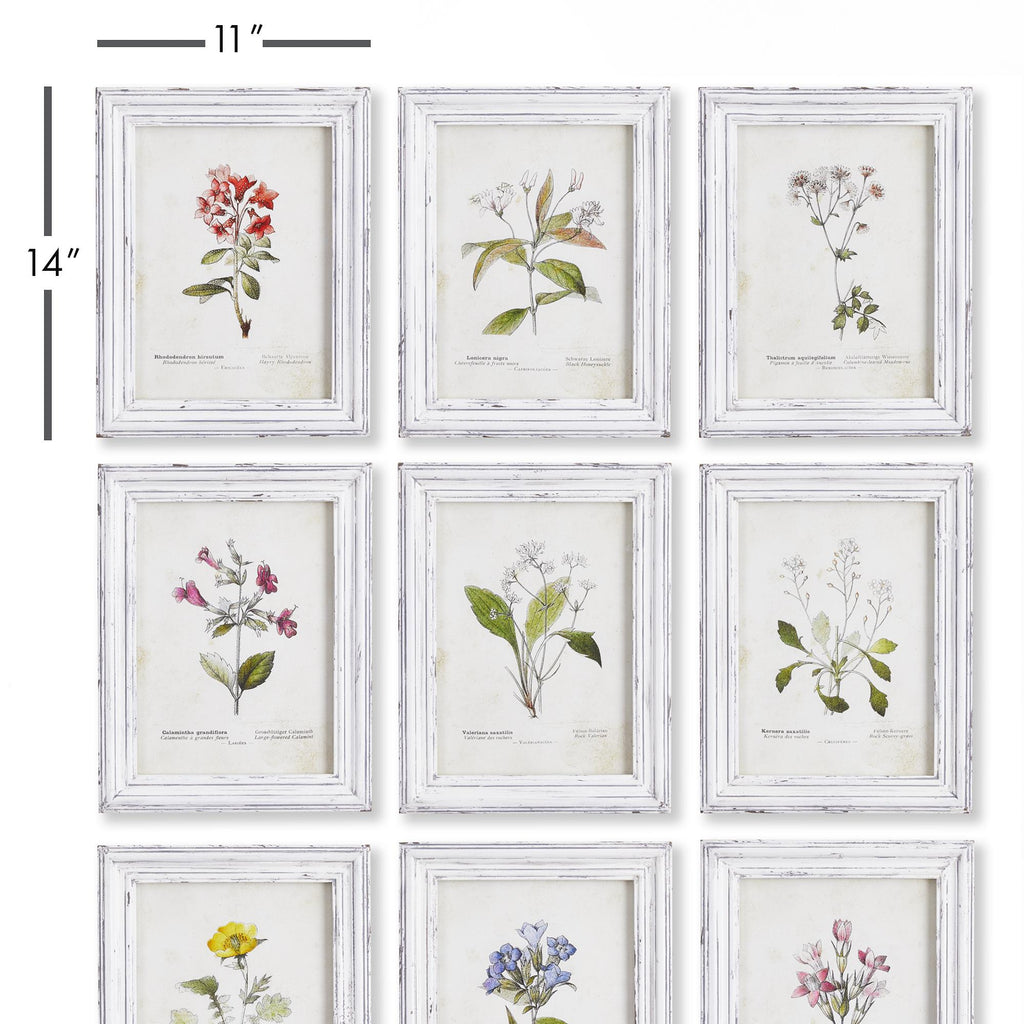 Napa Multi Garden Meadow Study, Set Of 9