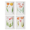 Napa White/Pink Tulip Prints, Set Of 4