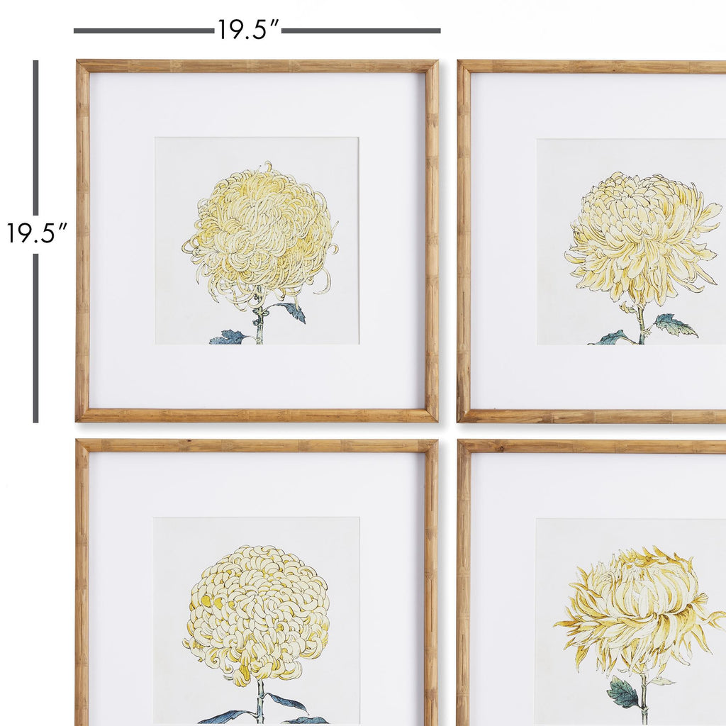 Napa Natural/Yellow Chrysanthemum Prints, Set Of 4