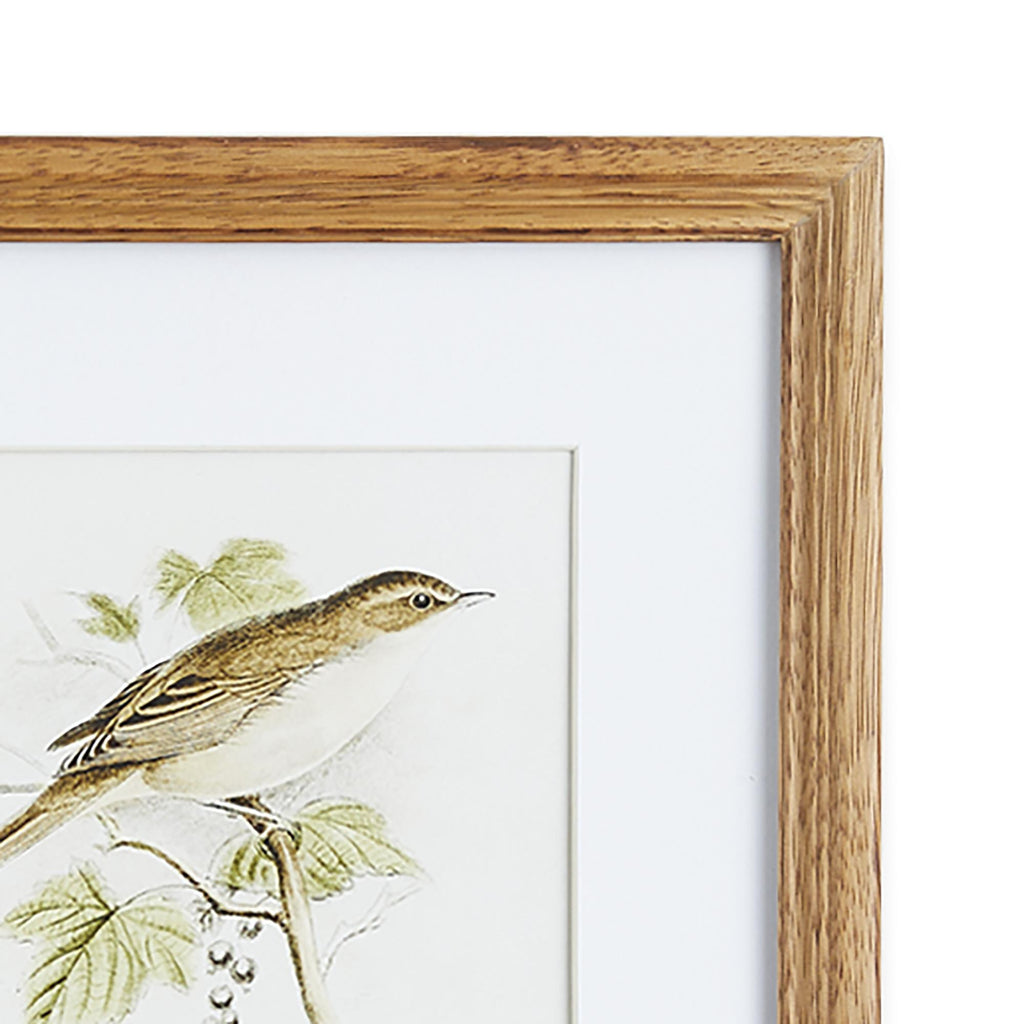 Napa Natural Perching Bird Study Petite, Set Of 4