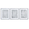 Napa Gray Fern Frond Prints, Set Of 3