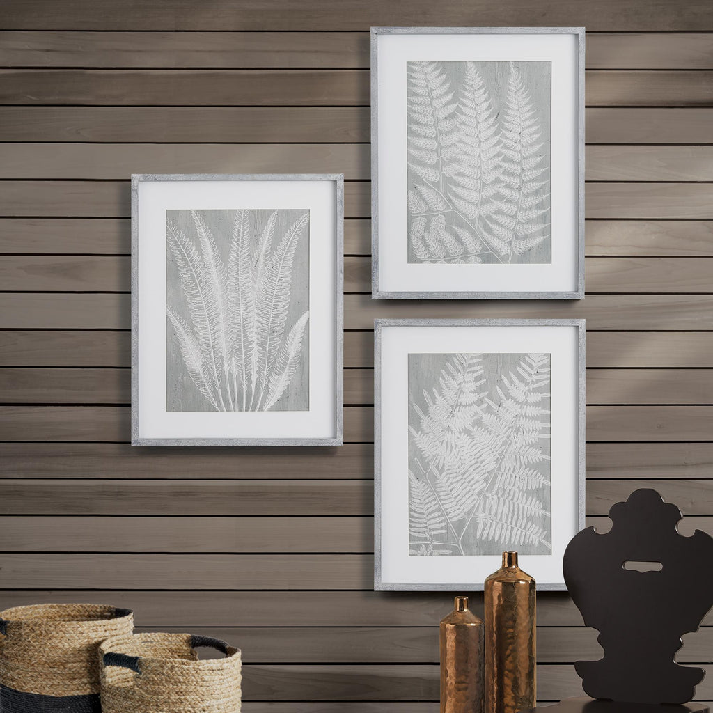 Napa Gray Fern Frond Prints, Set Of 3