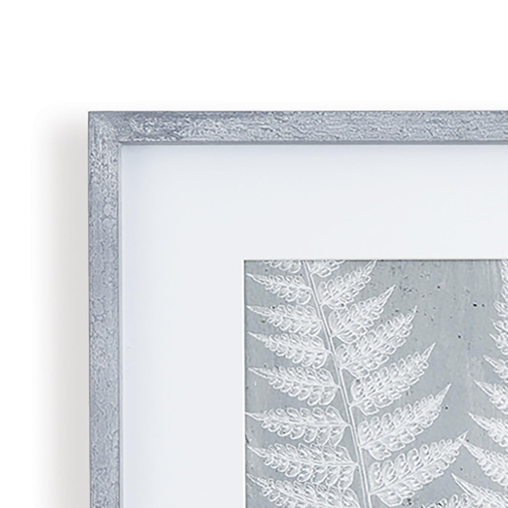 Napa Gray Fern Frond Prints, Set Of 3