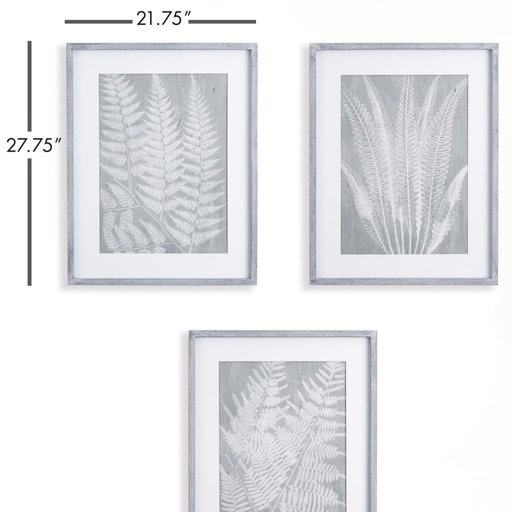 Napa Gray Fern Frond Prints, Set Of 3