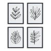 Napa Black/White Sketched Leaf Prints, Set Of 4