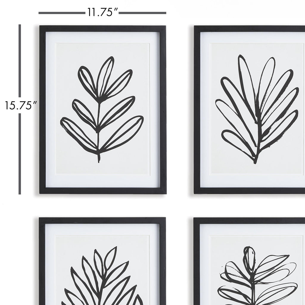 Napa Black/White Sketched Leaf Prints, Set Of 4