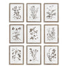 Napa Green Rustic Foliage Study, Set Of 9