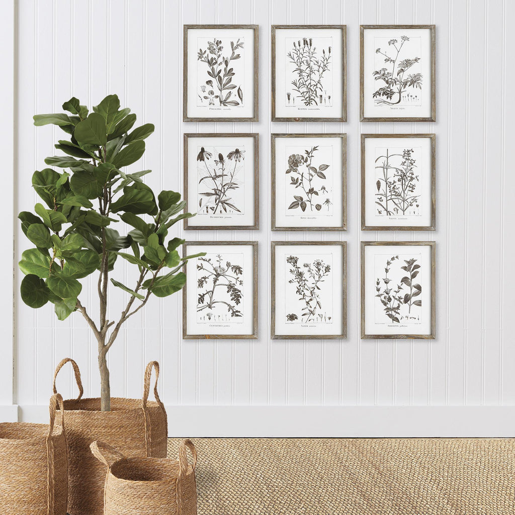 Napa Green Rustic Foliage Study, Set Of 9