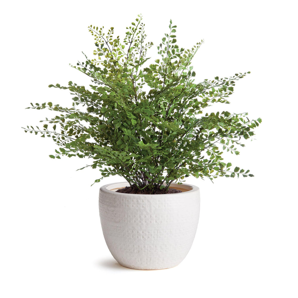 Napa White Shawna Pot Small