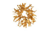 Phillips Collection Cast Root Wall Decor Gold Leaf Accent