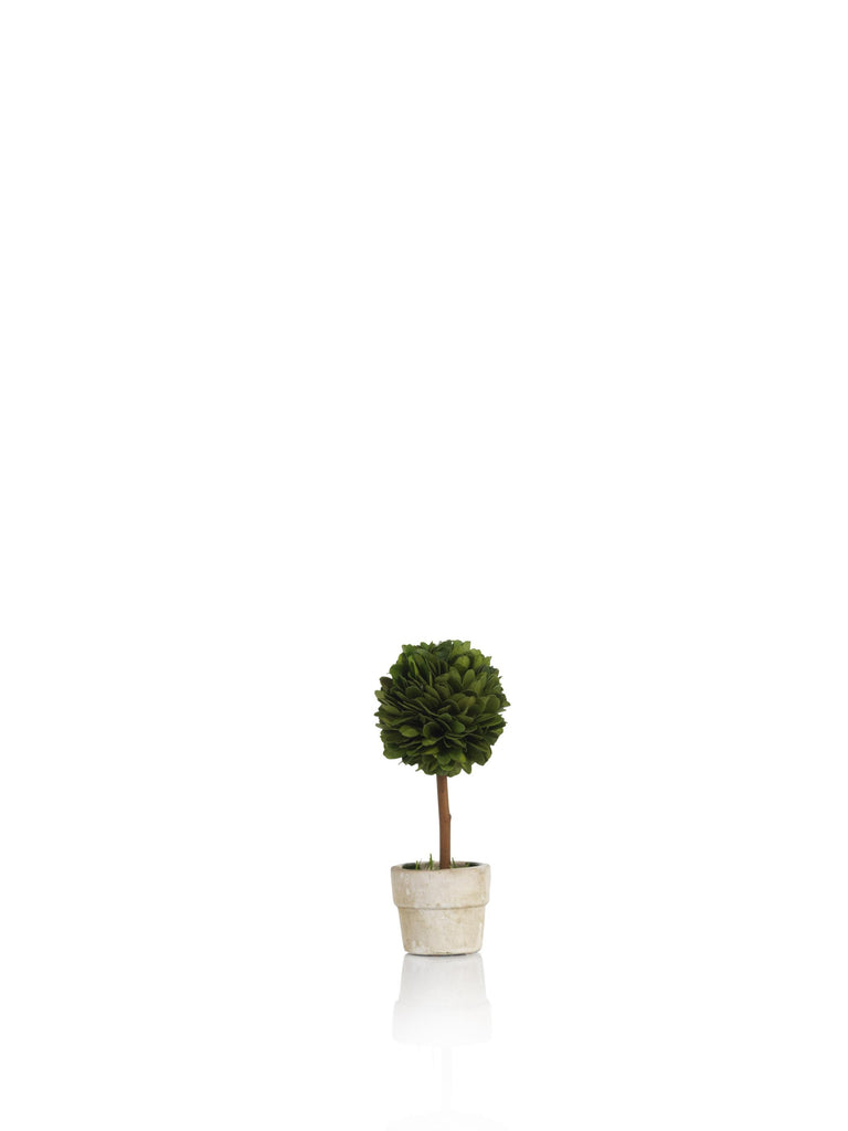 Zodax 6-Inch Tall Mini Single Ball Preserved Boxwood Topiary, Set of 6