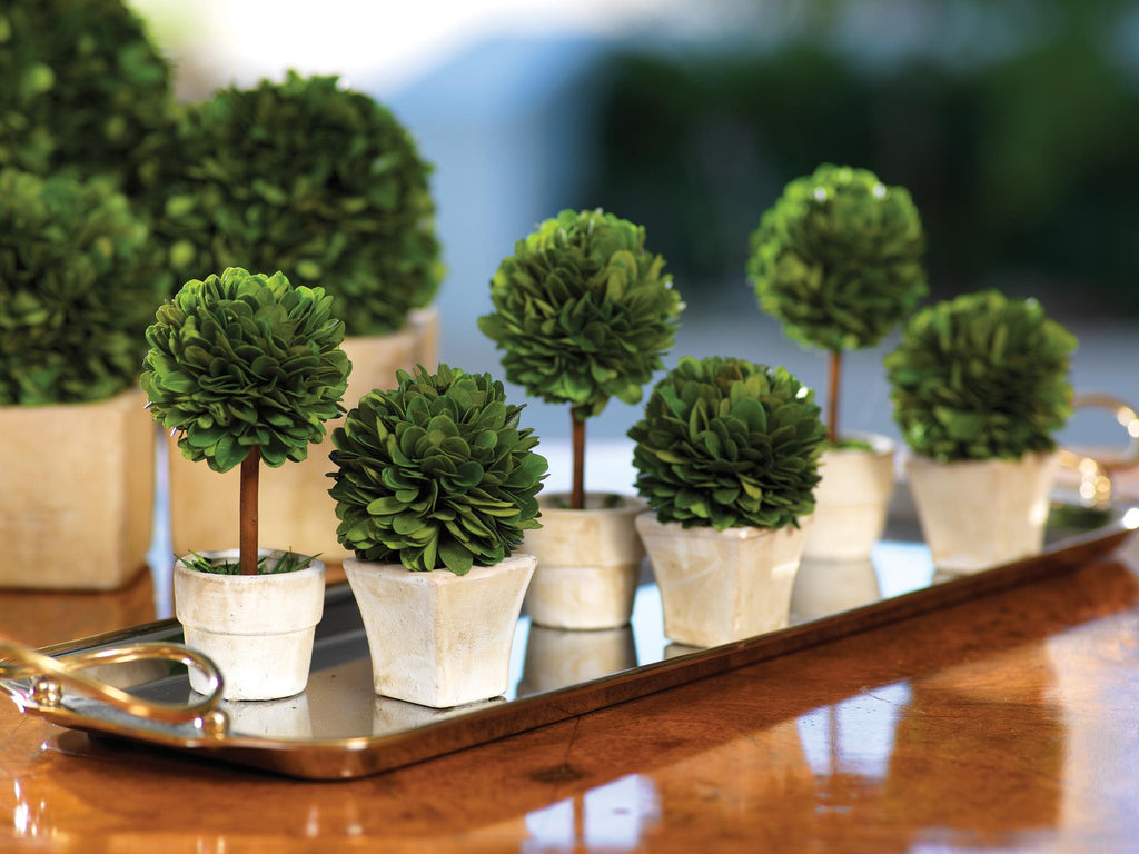 Zodax 4-Inch Tall Round Preserved Boxwood Topiary In Square Pot, Set of 4