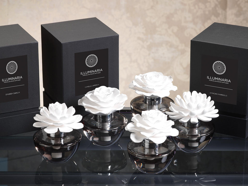 Zodax Illuminaria Porcelain Diffuser, Spanish Dahlia Fragrance