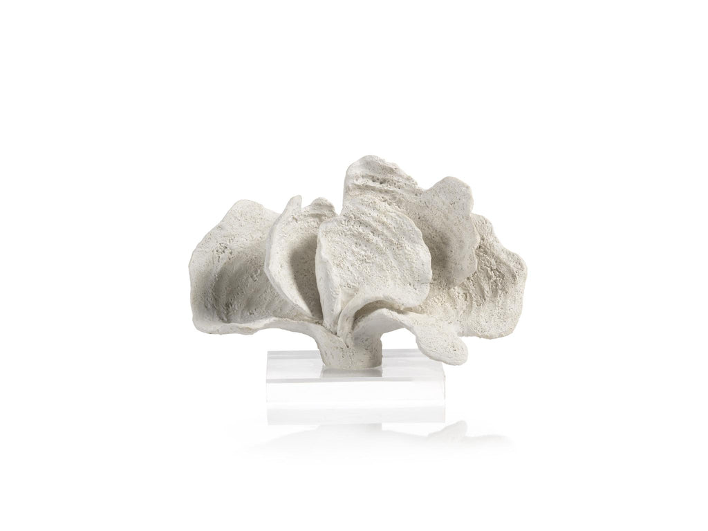 Zodax 7-Inch Tall Kai Coral Sculpture on Acrylic Base, White