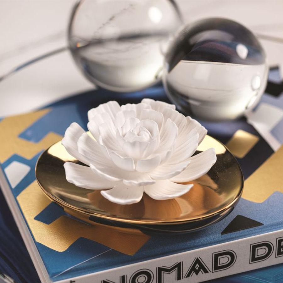 Zodax Dream Porcelain Flower Diffuser, Moroccan Peony Fragrance