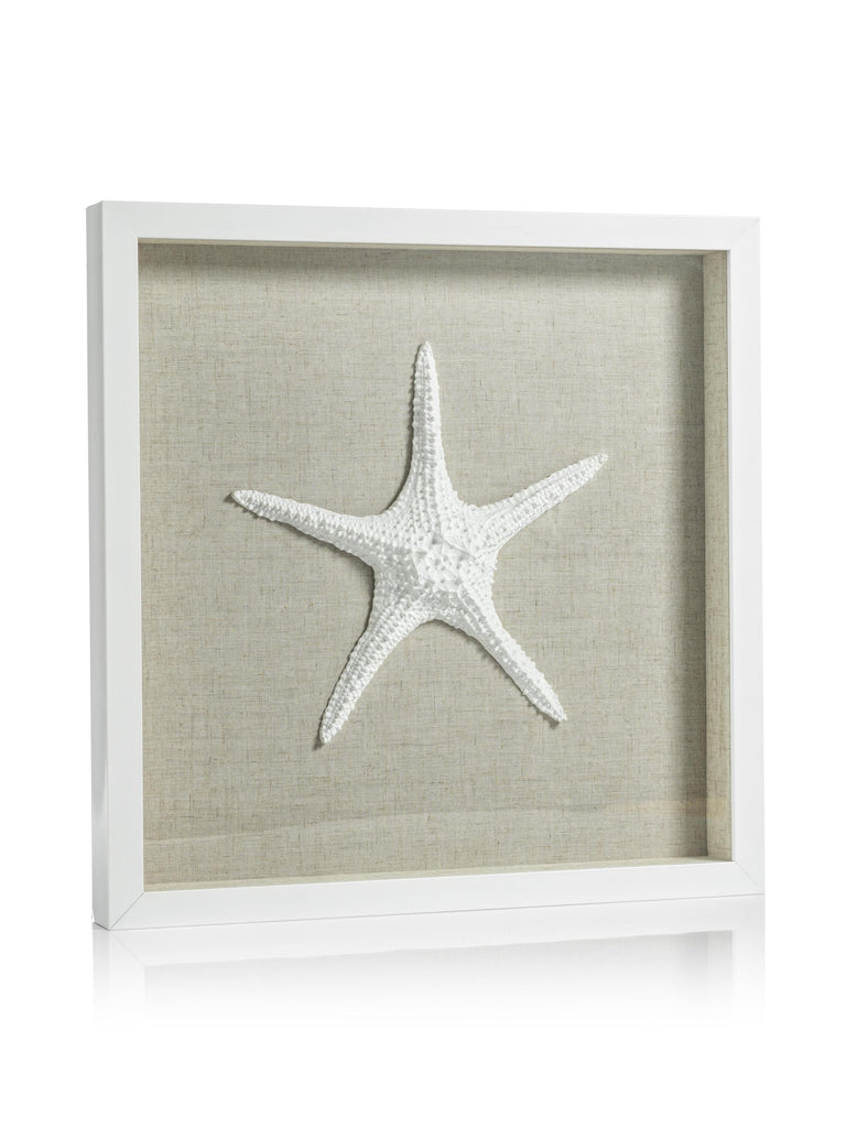 Zodax Aran White Framed Starfish Wall Dcor