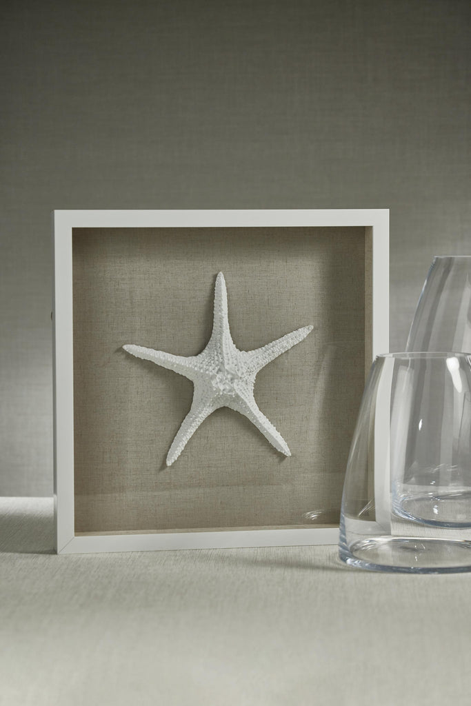 Zodax Aran White Framed Starfish Wall Dcor