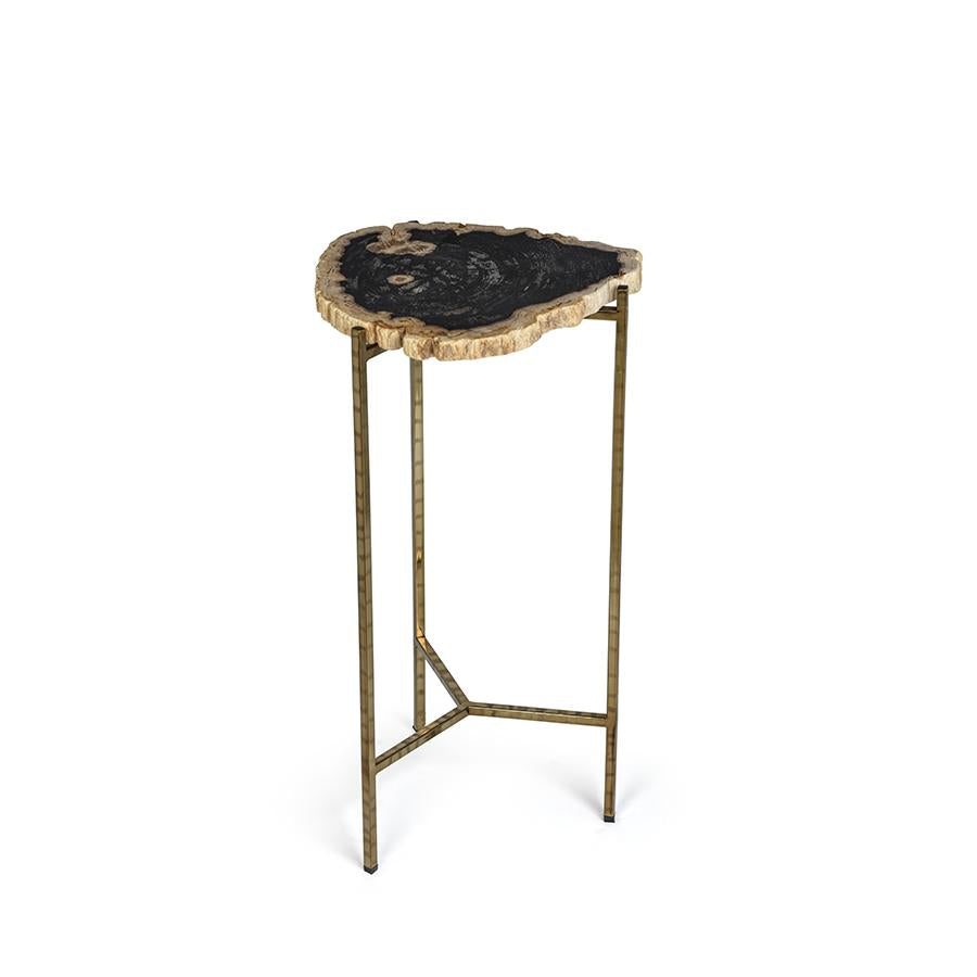 Zodax S Brasilia Petrified Wood Side Table