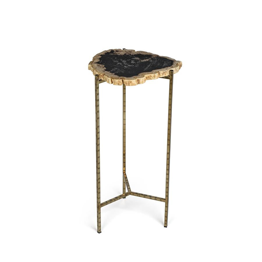 Zodax M Brasilia Petrified Wood Side Table