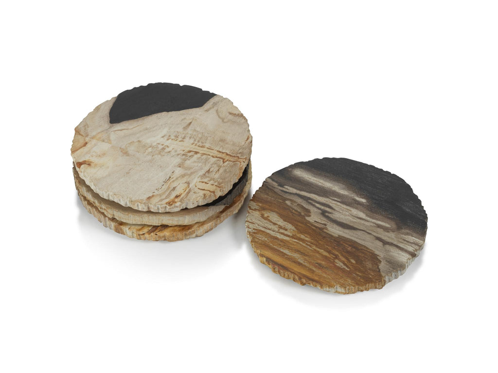 Zodax Plover 4" Petrified Wood Coasters, Set of 4