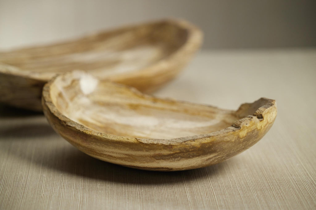 Zodax Small Plover Petrified Wood Oval Bowl