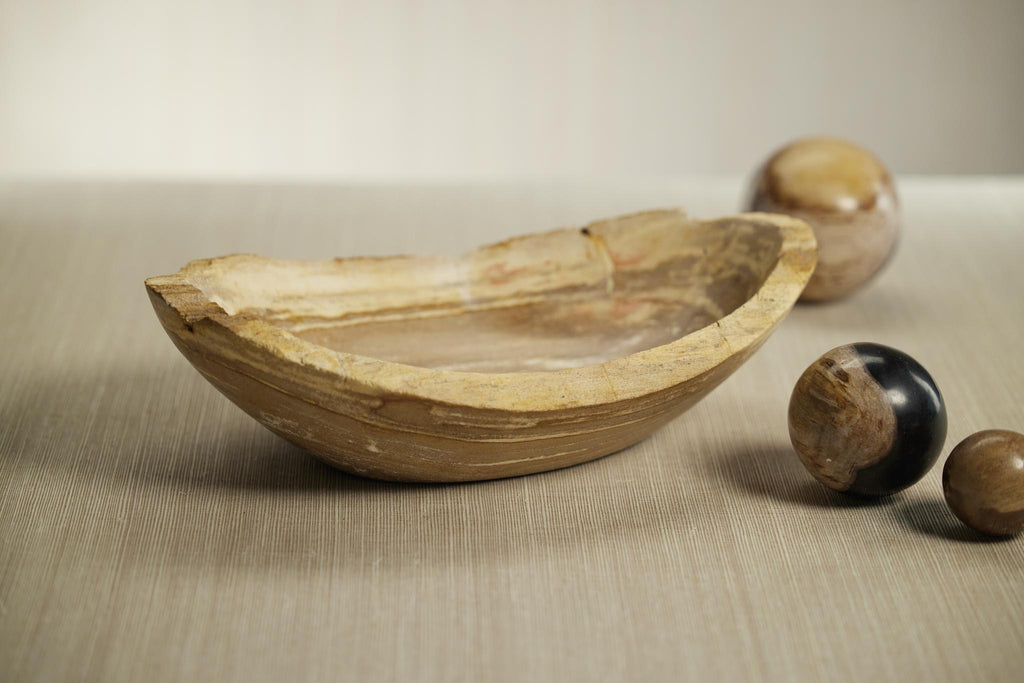 Zodax Large Plover Petrified Wood Oval Bowl