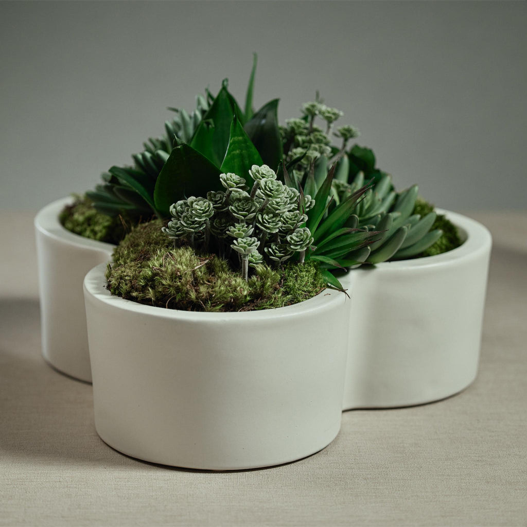 Zodax Lucine Flower Shape Planter / Bowl